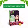 Vatika Naturals Henna Hair Color - Plum