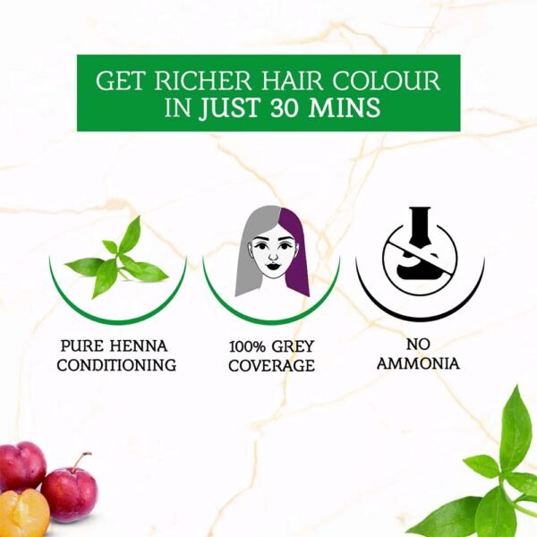 Vatika Naturals Henna Hair Color - Plum